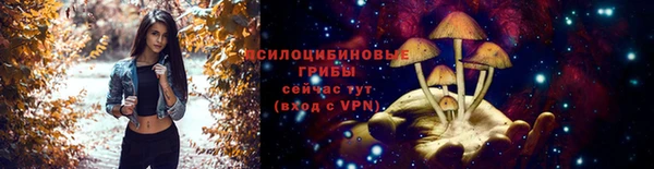 гидропоника Богородск
