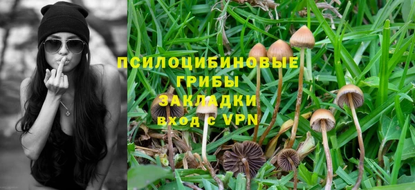 MDMA Богданович