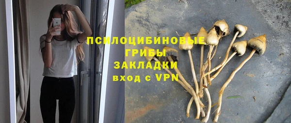 MDMA Богданович